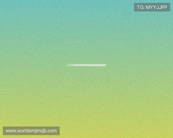 2026美加墨世界杯参赛球队的战术特点与比赛亮点总结