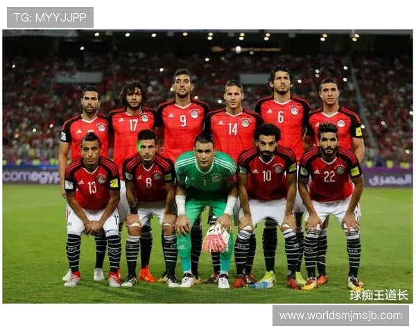 专业足球比分网即时比分世界杯赛况分析，提供详细的比赛数据和战术分析内容